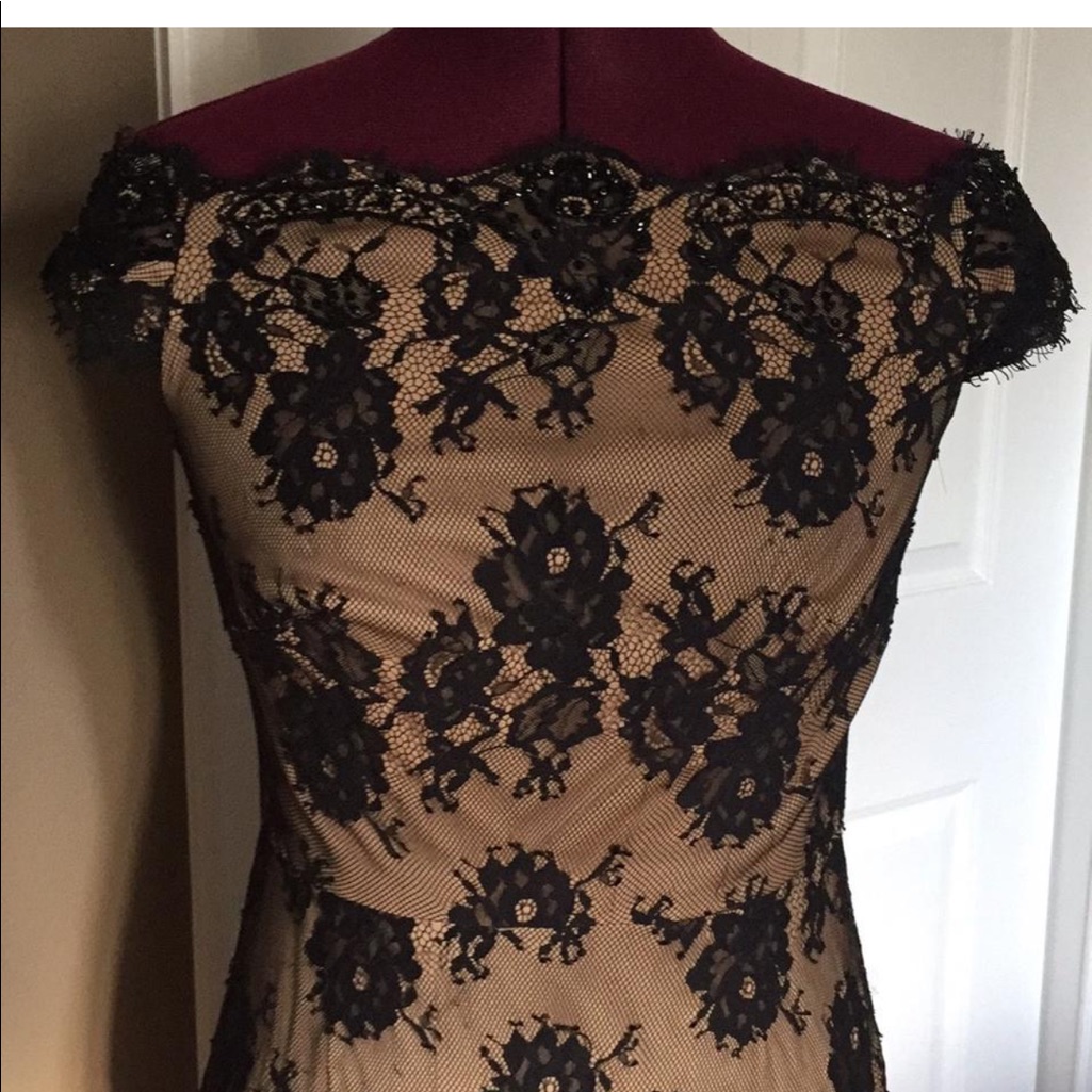 Tadashi Shoji Gown
